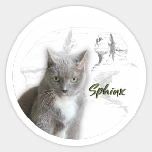 Sphynx Egyptian Grey Cat Sticker